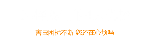 聚鑫汇 - 科技赋能生活,便捷趣味同行